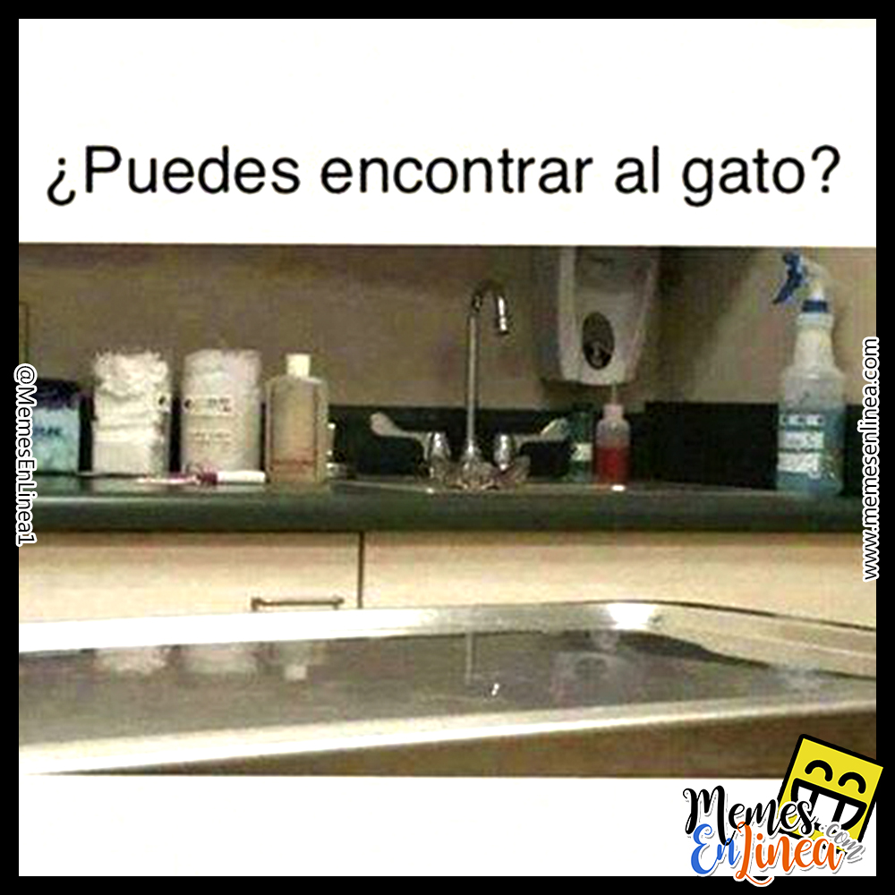 ¿Puedes encontrar al Gato? memesenlinea.com