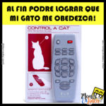 Control remoto para gatos memesenlinea.com