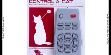 Control remoto para gatos memesenlinea.com