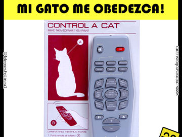 Control remoto para gatos memesenlinea.com