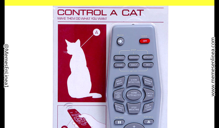 Control remoto para gatos