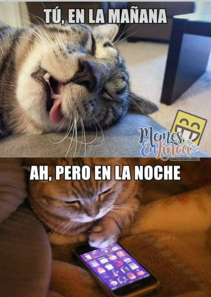 Tu en la mañana, Ah! pero anoche - Memes en linea