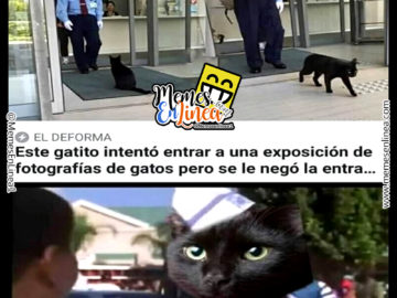 Es porque soy negro? - Memes En Linea