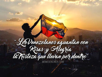 Memes en linea frases